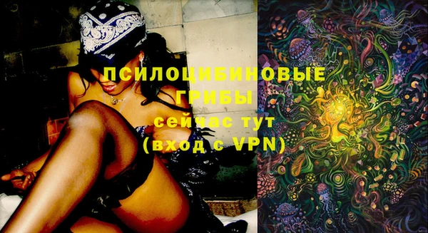 apvp Богданович