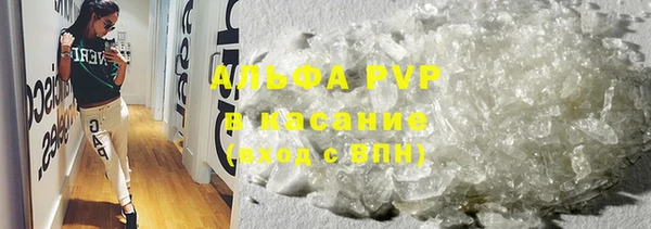 apvp Богданович