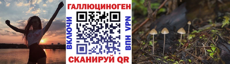 Галлюциногенные грибы Psilocybe  Купить где  Заречный 